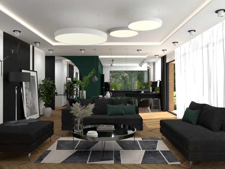 Salon, jadalnia, kuchnia